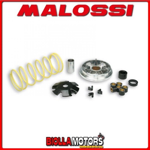517081 variomatik malossi - variomatik,