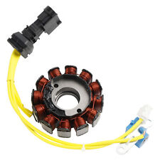 Stator Lichtmaschine für